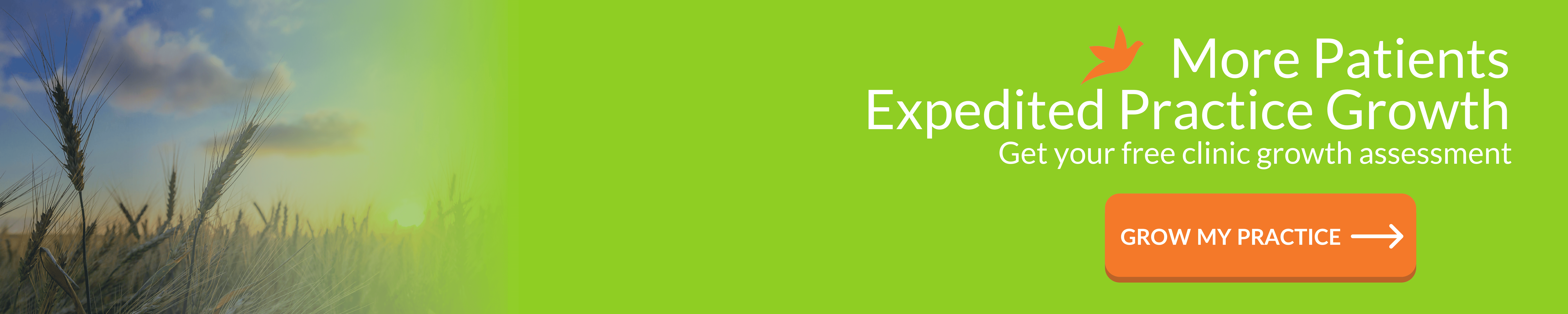 practice-growth-banner-wheat-bright-green-1